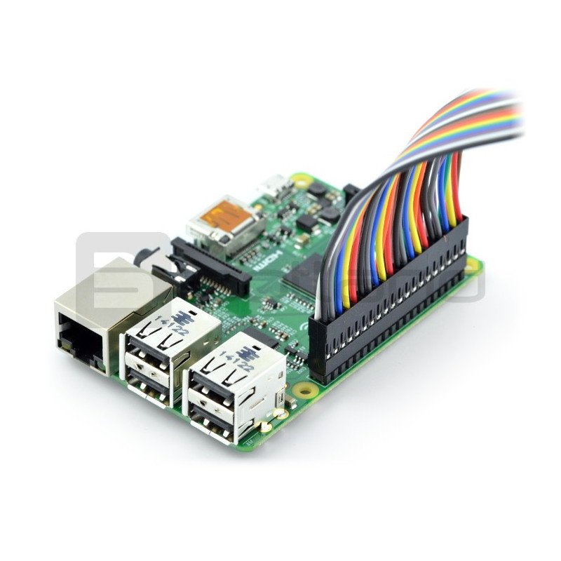 PiTail 40 pin cable with 35 cm connectors for Raspberry Pi B+