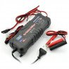 Charger, charger for 12V / 24V Volt batteries - zdjęcie 1