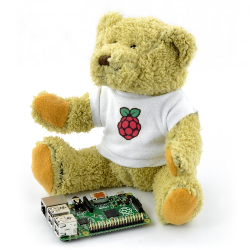 Teddy bear Babbage with the logo of the Raspberry Pi