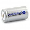 EverActive R20/D Ni-MH 5500mAh Silver Line battery - zdjęcie 2