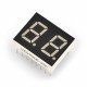 Dual alphanumeric display - 10mm red - wsp cathode Dual alphanumeric display - 10mm red - wsp cathode