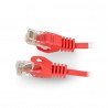 Lanberg Ethernet Patchcord UTP 5e 30m - red - zdjęcie 1
