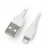 USB A - Lightning cable for iPhone / iPad / iPod - Blow - 2m - zdjęcie 1