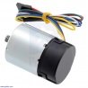 Metal Gearmotor 24V 37D without gearbox 1000 RPM with 64 CPR - zdjęcie 3