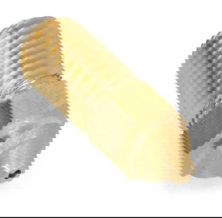 0.8mm nozzle for Elegoo Neptune 4/4 Pro 3D printers - 1.75mm filament - brass