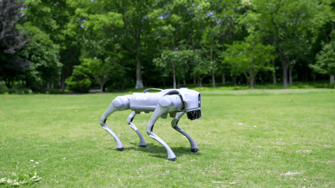 Four-legged walking platform - robo dog - Unitree Go2 Edu