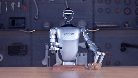 Humanoid robot - Unitree G1