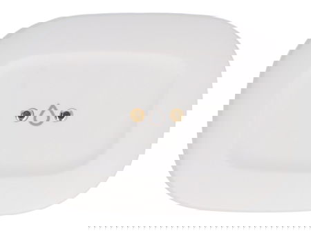 Aeotec Water Leak Sensor - flood and temperature sensor - ZigBee