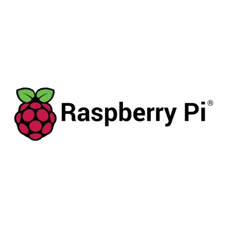 Raspberry Pi